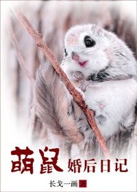 《萌鼠婚后日记》