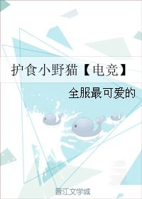 护食小野猫【电竞】