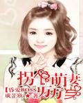 昏愛BOSS:拐個萌妻萬萬歲