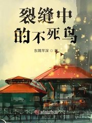 《裂缝中的不死鸟》