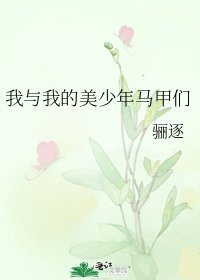 《我与我的美少年马甲们》