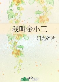 我叫金小三