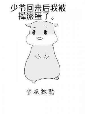 《少爷回来后我被撵滚蛋了》